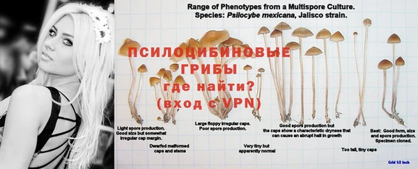 MDMA Premium VHQ Балахна