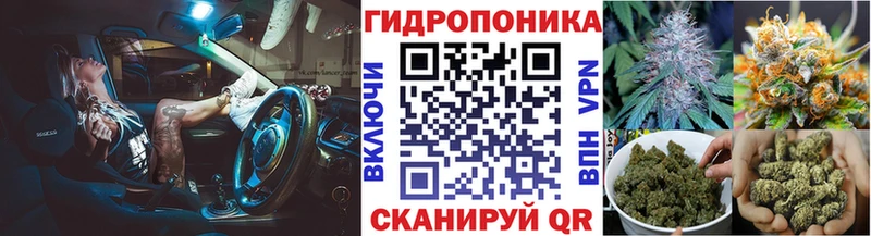 сколько стоит  Славянск-на-Кубани  Марихуана семена 